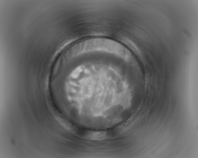 X0000113250155200910081326