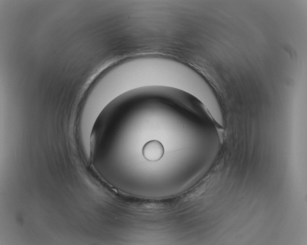 X0000113250156200910081326