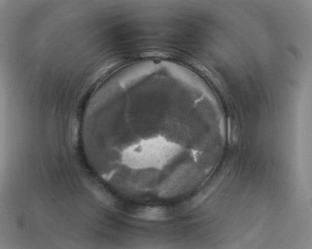 X0000113250157200910081326