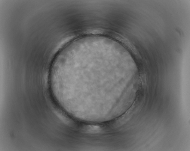 X0000113250159200910081326