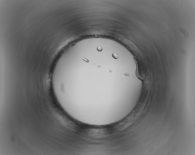 X0000113250160200910081326