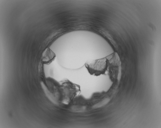 X0000113250161200910081326