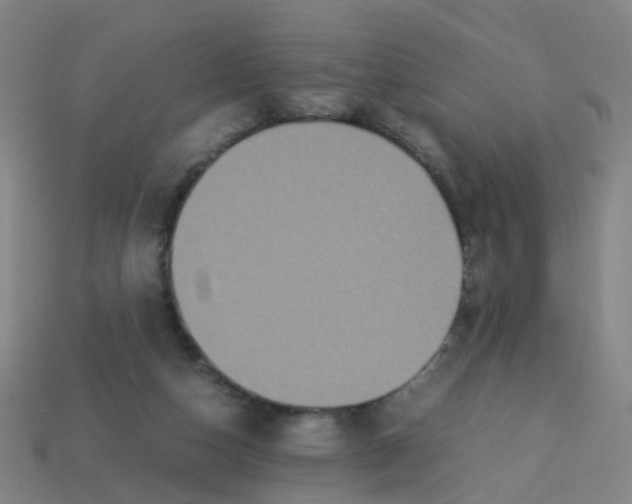 X0000113250162200910081326