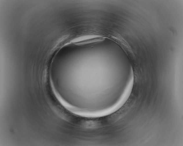 X0000113250163200910081326