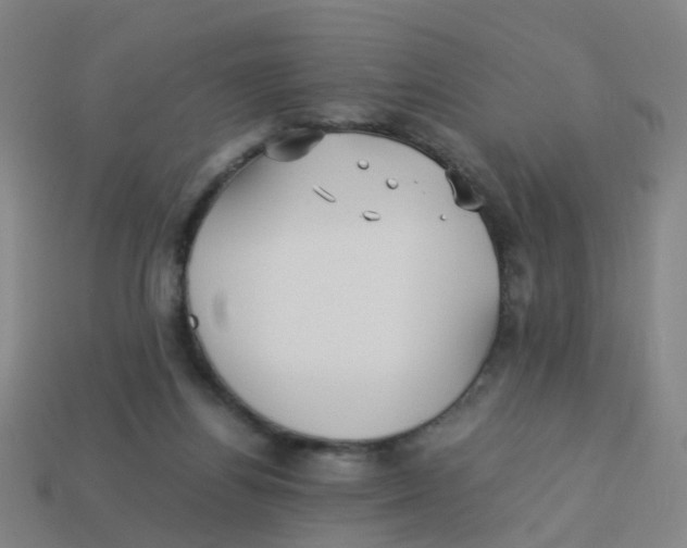 X0000113250164200910081326