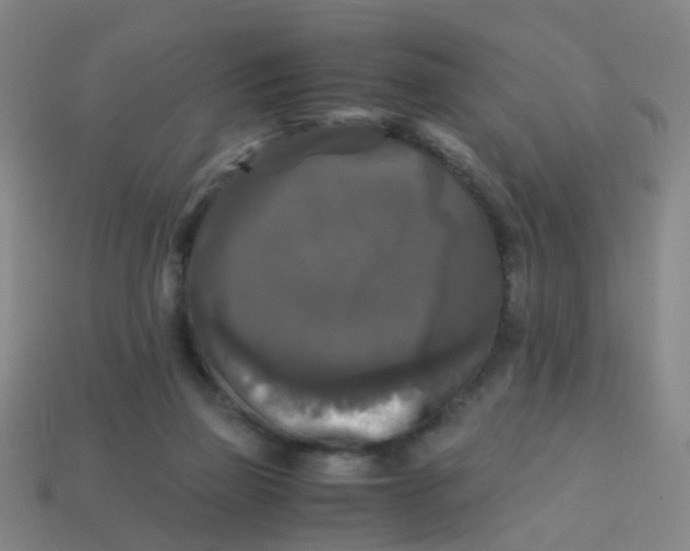 X0000113250165200910081326