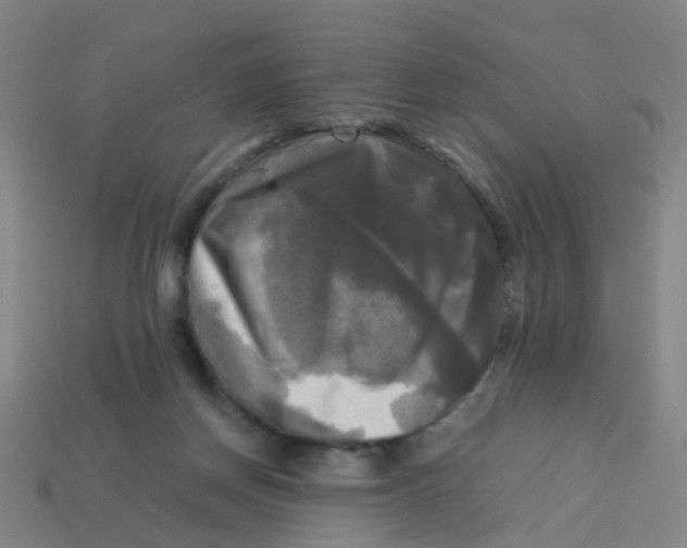 X0000113250166200910081326