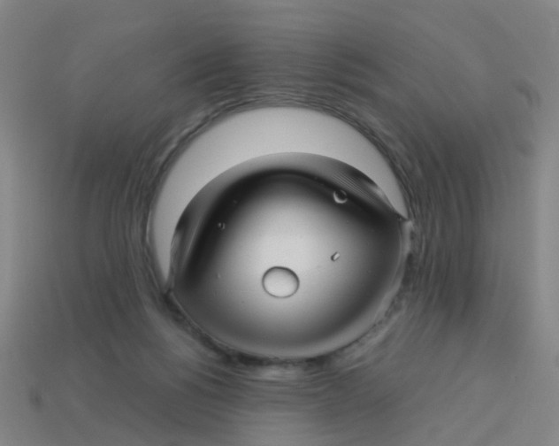 X0000113250168200910081326