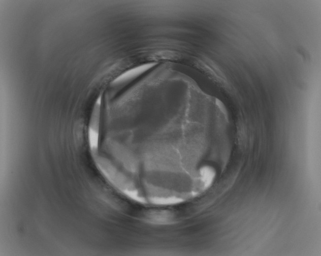 X0000113250169200910081326