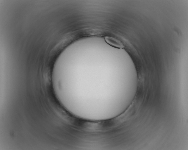 X0000113250170200910081326