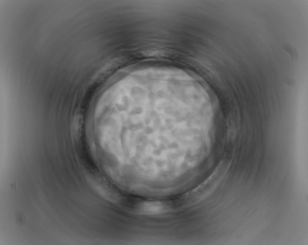 X0000113250171200910081326