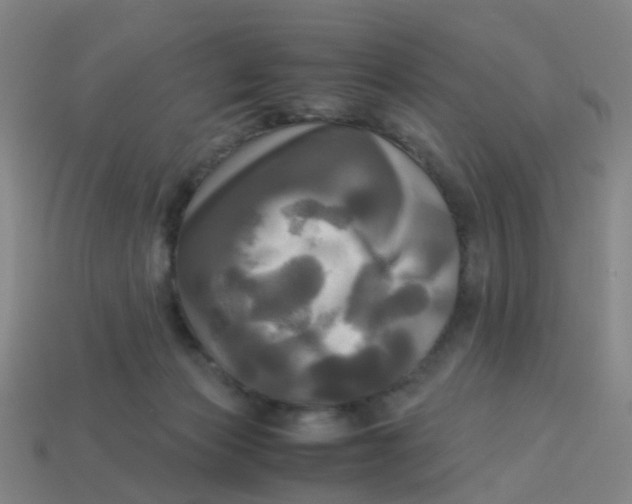 X0000113250173200910081326