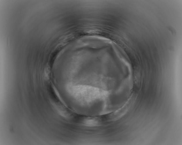 X0000113250175200910081326