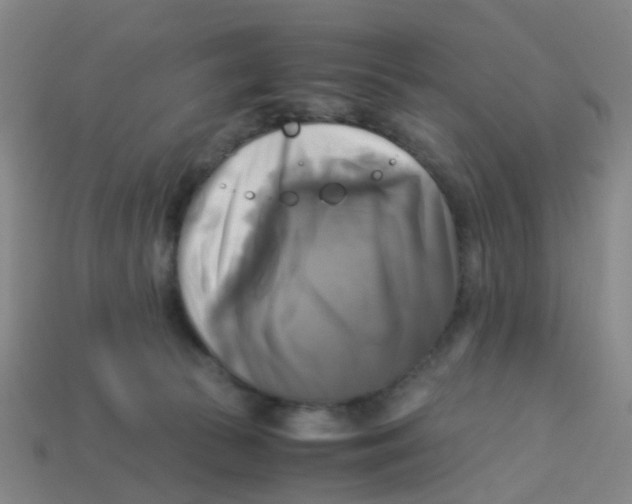 X0000113250177200910081326