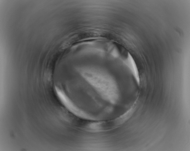 X0000113250178200910081326