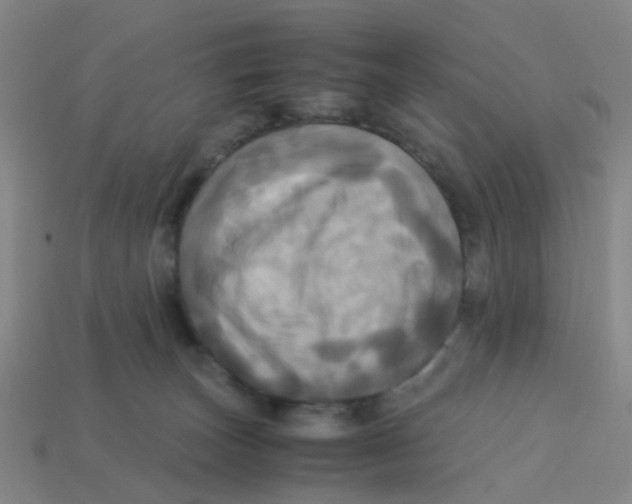 X0000113250179200910081326