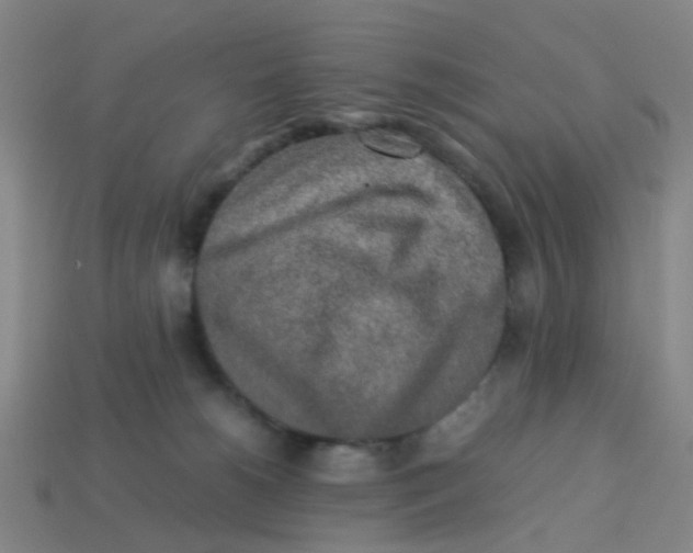 X0000113250180200910081326