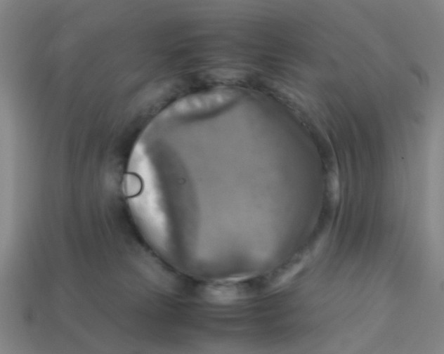 X0000113250181200910081326