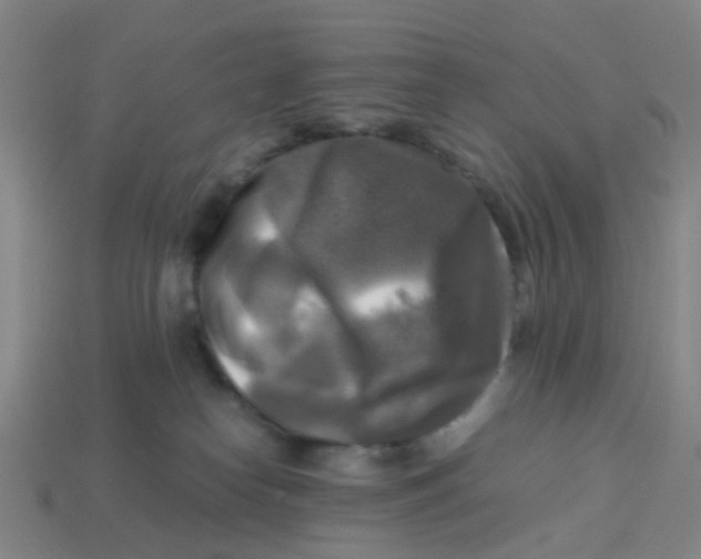 X0000113250182200910081326