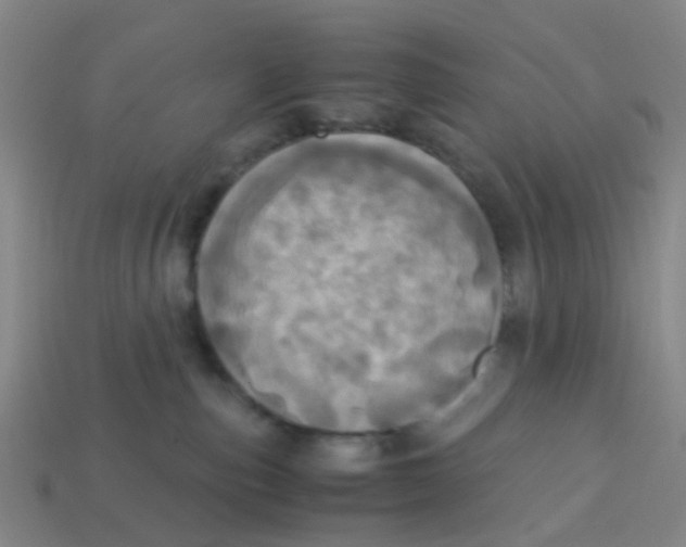 X0000113250187200910081326