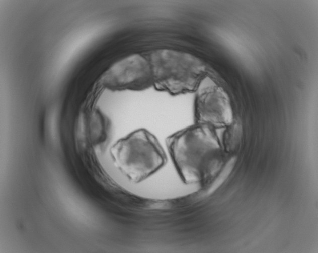 X0000113250189200910081326