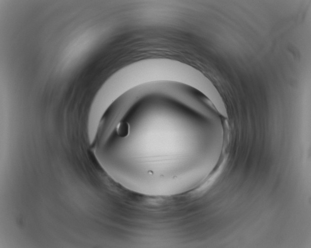 X0000113250190200910081326