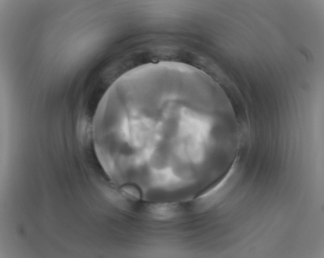 X0000113250191200910081326