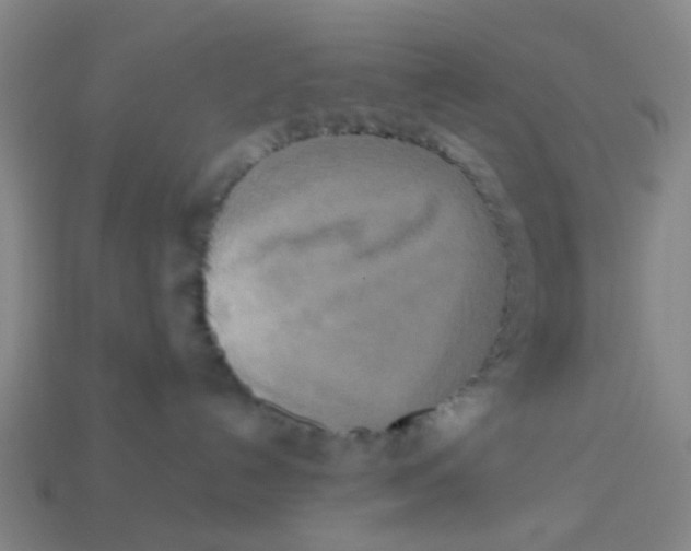 X0000113250192200910081326