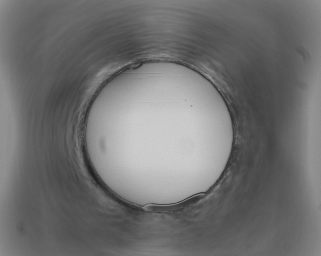 X0000113250193200910081326