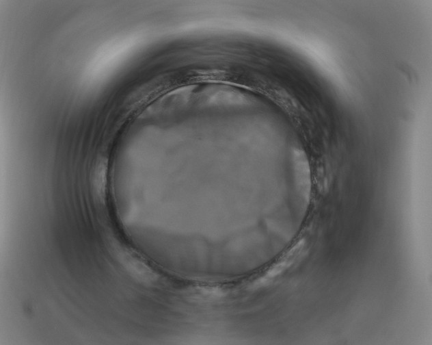 X0000113250194200910081326