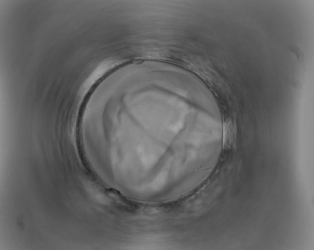 X0000113250195200910081326