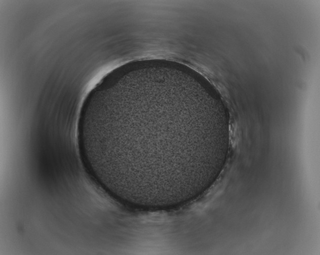 X0000113250196200910081326