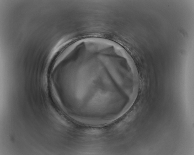 X0000113250198200910081326