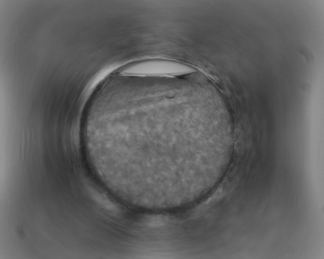 X0000113250200200910081326