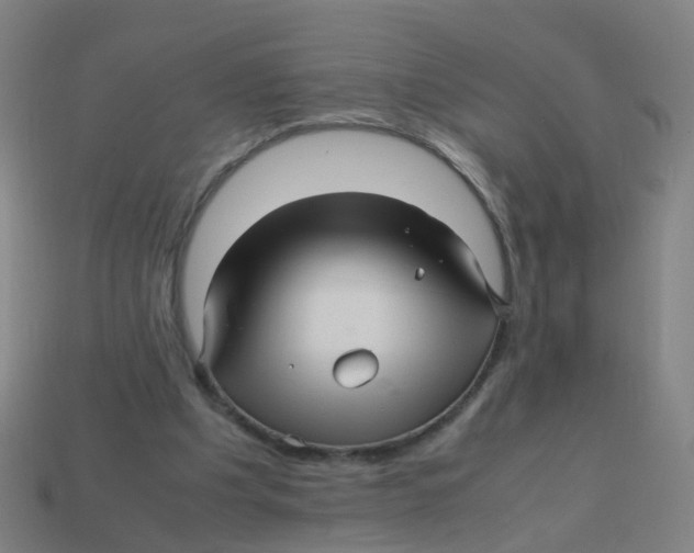 X0000113250201200910081326