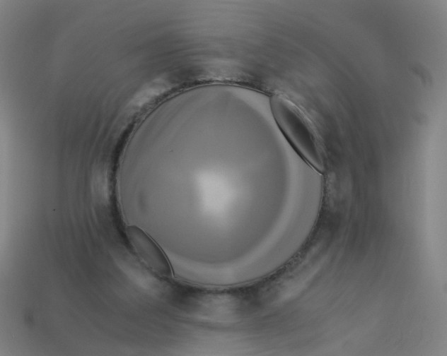 X0000113250203200910081326