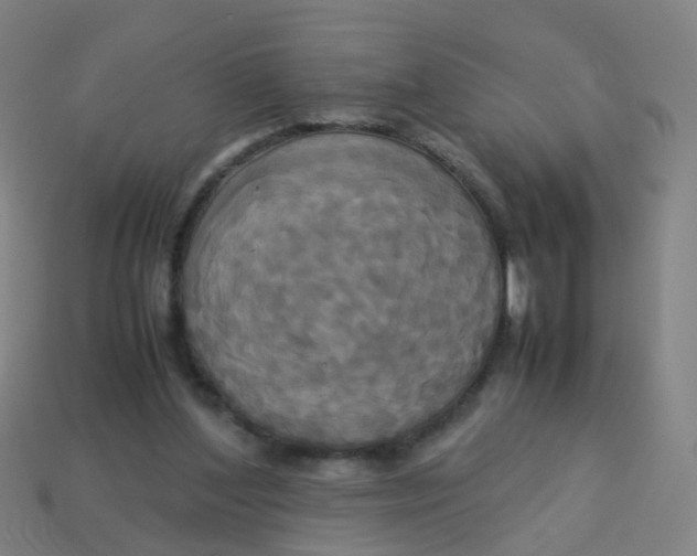 X0000113250204200910081326