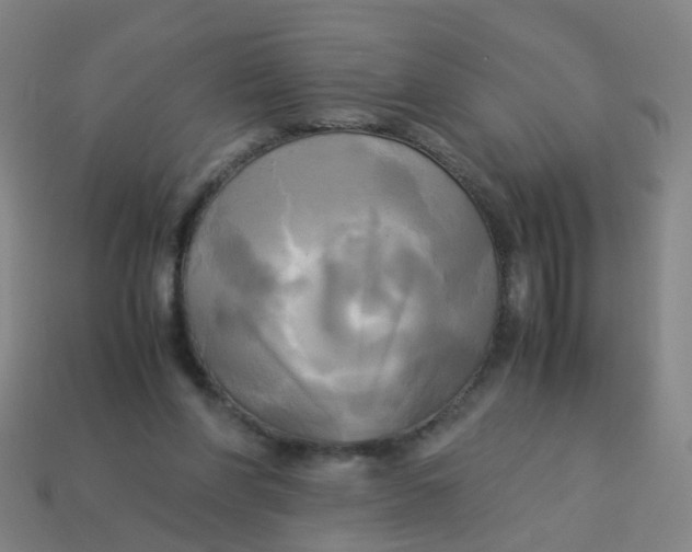 X0000113250206200910081326