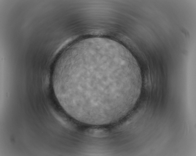 X0000113250208200910081326