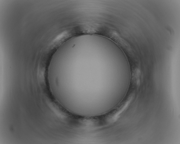 X0000113250209200910081326