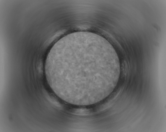 X0000113250212200910081326