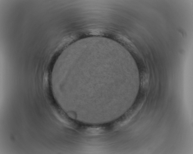 X0000113250213200910081326