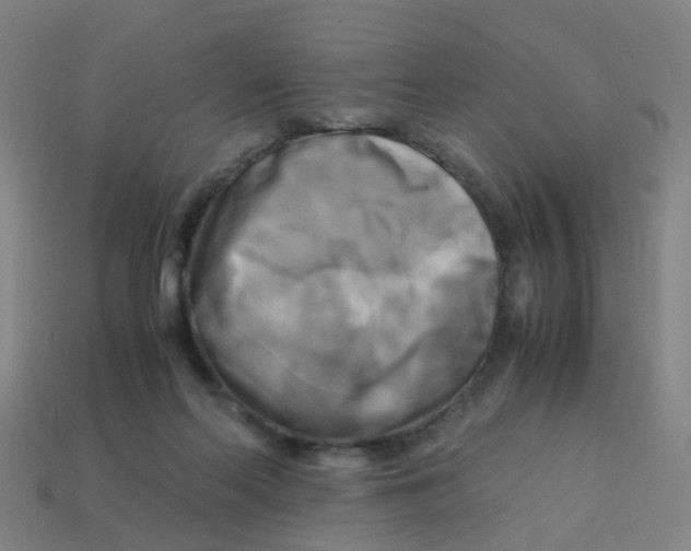 X0000113250214200910081326