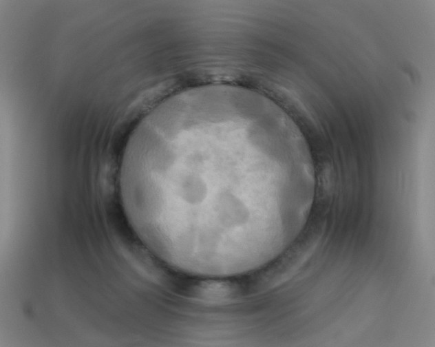 X0000113250218200910081325