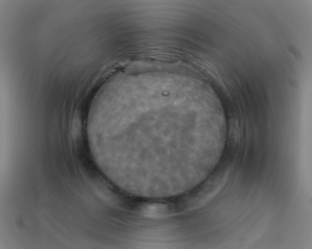 X0000113250220200910081325