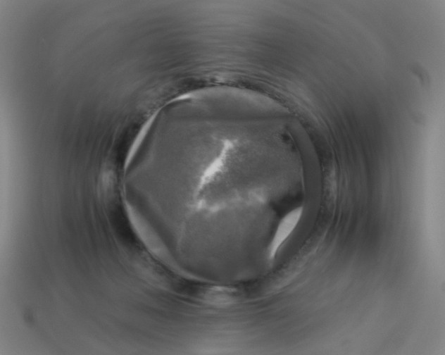 X0000113250222200910081325