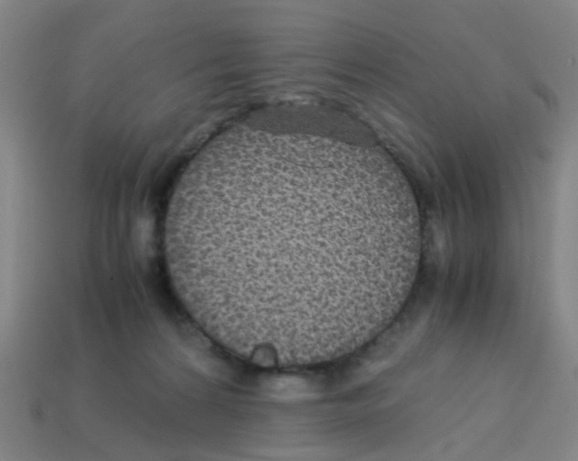 X0000113250224200910081325