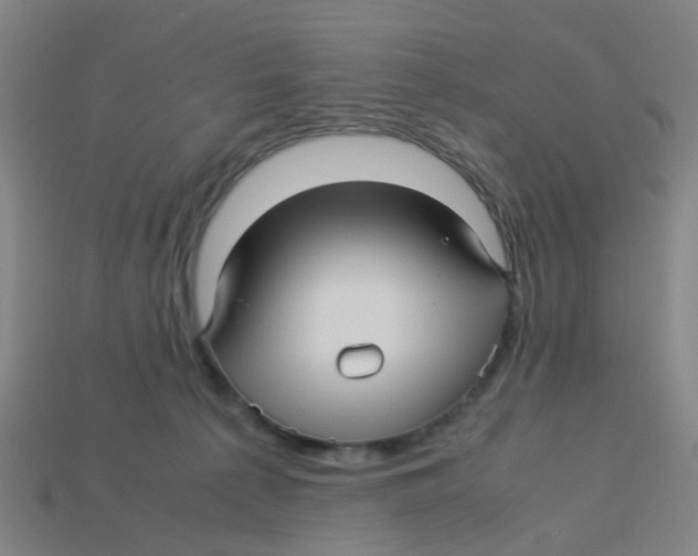 X0000113250225200910081325