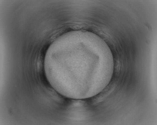 X0000113250226200910081325