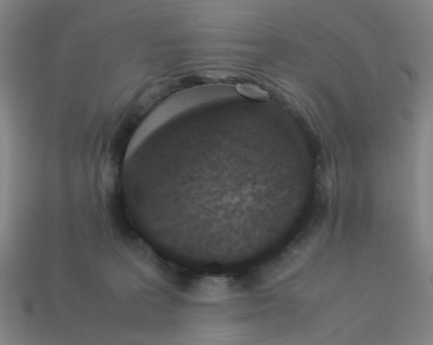 X0000113250227200910081325